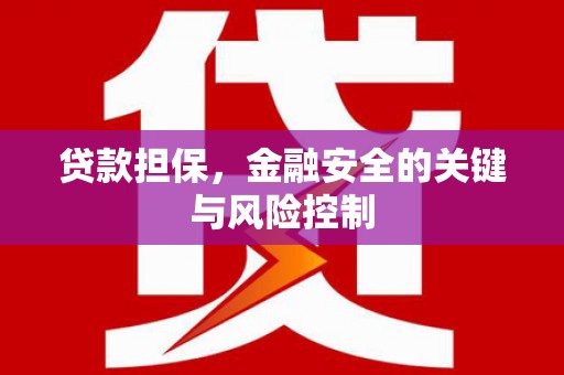 聊城贷款担保，金融安全的关键与风险控制