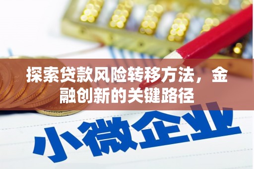 柳南探索贷款风险转移方法，金融创新的关键路径