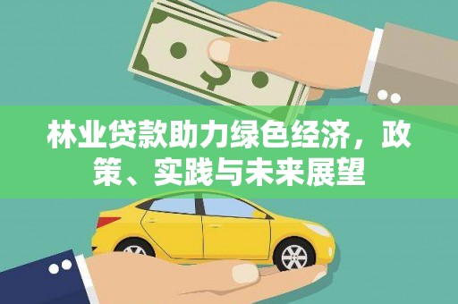 宁乡林业贷款助力绿色经济，政策、实践与未来展望