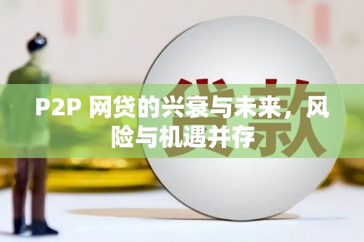 新林P2P 网贷的兴衰与未来，风险与机遇并存