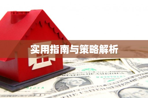 岱山实用指南与策略解析