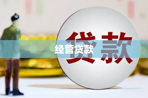振兴经营贷款