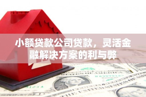 原州小额贷款公司贷款，灵活金融解决方案的利与弊