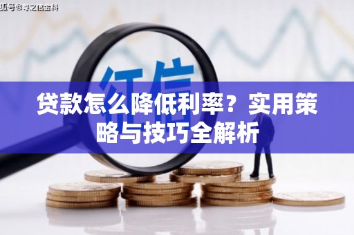 白水贷款怎么降低利率？实用策略与技巧全解析